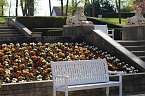 Impressionen aus der Rosenstadt Bad Langensalza (Foto: Eva Maria Wiegand)
