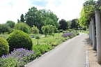 Rosenpracht in Rosengarten in Bad Langensalza (Foto: Eva Maria Wiegand)