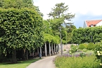Rosenpracht in Rosengarten in Bad Langensalza (Foto: Eva Maria Wiegand)