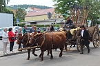 Festumzug zum 900. Geburtstag Sondershausens (Foto: emw)