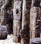 Schatzsuche im Chemnitzer Untergrund (Foto: Hans-J&uuml;rgen Schmidt)