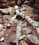 Schatzsuche im Chemnitzer Untergrund (Foto: Hans-J&uuml;rgen Schmidt)