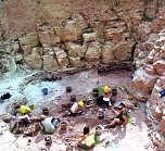 Schatzsuche im Chemnitzer Untergrund (Foto: Hans-J&uuml;rgen Schmidt)