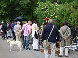 Kaiserwetter bei Residenzfest (Foto: Familie Kieper)