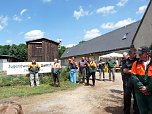 Waldjugendspiele begeisterten (Foto: Karl-Heinz Herrmann) Waldjugendspiele begeisterten (Foto: Karl-Heinz Herrmann)
