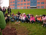Baumpflanzung (Foto: Karl-Heinz Herrmann)