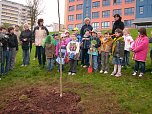 Baumpflanzung (Foto: Karl-Heinz Herrmann)