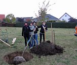 Jugendweihebaum in Bad Frankenhausen (Foto: Sabine Zeidler)