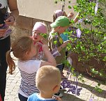 Zum Fest geschm&uuml;ckt (Foto: Stadtmarketing Bad Frankenhausen)