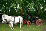 2. Th&uuml;ringer Traditionsgespannfahren Clingen (Foto: Peter Georgi)