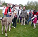 Kinderfest des SGW (Foto: SGW)