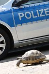 Besuch bei der Polizei (Foto: API) Besuch bei der Polizei (Foto: API)