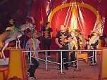 Tolles Zirkusprogramm (Foto: Karl-Heinz Herrmann) Tolles Zirkusprogramm (Foto: Karl-Heinz Herrmann)
