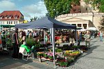 Großer Pflanzenmarkt mit Aktionstag (Foto: Karl-Heinz Herrmann) Großer Pflanzenmarkt mit Aktionstag (Foto: Karl-Heinz Herrmann)