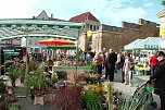 Großer Pflanzenmarkt mit Aktionstag (Foto: Karl-Heinz Herrmann) Großer Pflanzenmarkt mit Aktionstag (Foto: Karl-Heinz Herrmann)