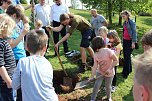 Zum Fest einen Baum gepflanzt (Foto: Karl-Heinz Herrmann) Zum Fest einen Baum gepflanzt (Foto: Karl-Heinz Herrmann)