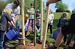 Zum Fest einen Baum gepflanzt (Foto: Karl-Heinz Herrmann) Zum Fest einen Baum gepflanzt (Foto: Karl-Heinz Herrmann)