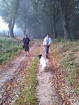 Herbstwanderung des Sondersh&auml;user Hundevereins (Foto: Privat)