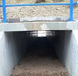 Winterwanderung Frauenberg (Foto: Hans-J&uuml;rgen Schmidt)