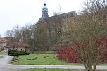 Maulwurfsinvasion im Schlosspark Sondershausen? (Foto: Karl-Heinz Herrmann)