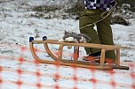 Schlittenhunderennen in Benneckenstein (Foto: Karin Lehmann)