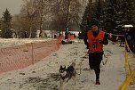 Schlittenhunderennen in Benneckenstein (Foto: Karin Lehmann)