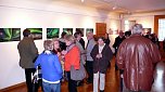 Ausstellung er&ouml;ffnet (Foto: privat)