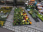 Ostermarkt in Sondershausen (Foto: Peter Blei)