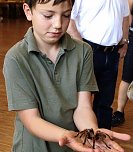 Spinnen in Live Show (Foto: Privat) Spinnen in Live Show (Foto: Privat)