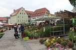 Pflanzenmarkt gestartet (Foto: Karl-Heinz Herrmann) Pflanzenmarkt gestartet (Foto: Karl-Heinz Herrmann)