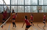 Saisonabschluss f&uuml;r Volleyballerinnen vom SV Rot Wei&szlig; Wiehe (Foto: SV Rot-Wei&szlig; Wiehe)