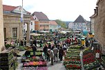 Pflanzenmarkt gut besucht (Foto: Karl-Heinz Herrmann) Pflanzenmarkt gut besucht (Foto: Karl-Heinz Herrmann)