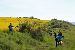 Studien zur Erhaltung der Natur (Foto: Karl-Heinz Herrmann) Studien zur Erhaltung der Natur (Foto: Karl-Heinz Herrmann)