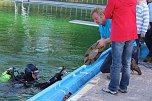 Taucher im Schwimmbad im Einsatz (Foto: Karl-Heinz Herrmann) Taucher im Schwimmbad im Einsatz (Foto: Karl-Heinz Herrmann)