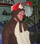 Hase Hops im Weihnachtsstress (Foto: Karl-Heinz Herrmann)