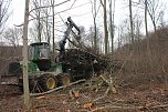 Holzernte in Seega (Foto: Karl-Heinz Herrmann) Holzernte in Seega (Foto: Karl-Heinz Herrmann)