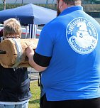 Ganzes Flugzeug dabei (Foto: Karl-Heinz Herrmann) Ganzes Flugzeug dabei (Foto: Karl-Heinz Herrmann)