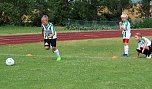 Fußballferienschule immer attraktiver (Foto: Karl-Heinz Herrmann) Fußballferienschule immer attraktiver (Foto: Karl-Heinz Herrmann)