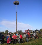 Neue Storchennester in Seehausen (Foto: Susanne B&ouml;hme)