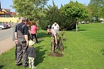 Gro&szlig;e Fliederbaumplanzaktion in Bad Frankenhausen (Foto: Karl-Heinz Herrmann)