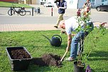 Gro&szlig;e Fliederbaumplanzaktion in Bad Frankenhausen (Foto: Karl-Heinz Herrmann)