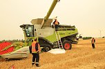 Erntefahrzeug berannte (Foto: S. Dietzel)