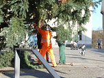 Weihnachtsbaum Sondershausen (Foto: Karl-Heinz Herrmann)