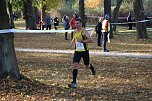 Stadtparklauf in Sondershausen (2) (Foto: Karl-Heinz Herrmann) Stadtparklauf in Sondershausen (2) (Foto: Karl-Heinz Herrmann)