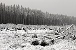 Heiligabend noch schnell auf den Brocken (2018) (Foto: VGF) Heiligabend noch schnell auf den Brocken (2018) (Foto: VGF)