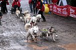 Hundeschlittenrennen in Pullman City (Foto: Peter Blei)