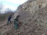 Kulturlandschaft am Kyffh&auml;user wird gepflegt (Foto: Landschaftspflegeverband)
