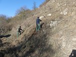 Kulturlandschaft am Kyffh&auml;user wird gepflegt (Foto: Landschaftspflegeverband)