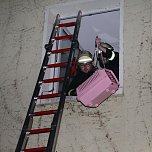 Tierrettung am Abend (Foto: Silvio Dietzel)