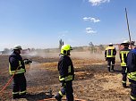Fl&auml;chenbrand (Foto: Feuerwehr Quelle: Silvio Dietzel)